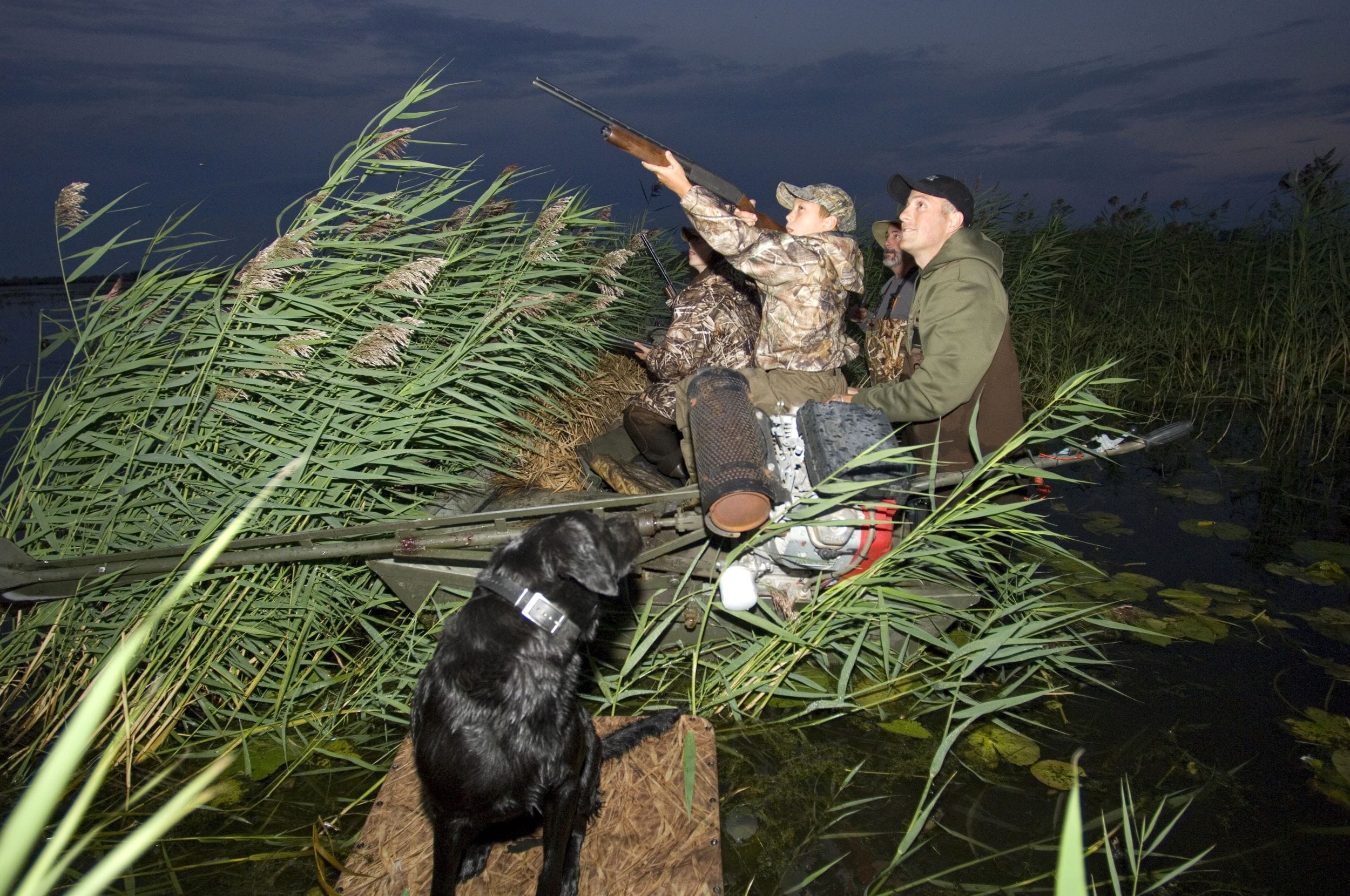 Duck hunters position their blind behind a stand of invasive phragmites at Pointe Mouillee State Game Area.