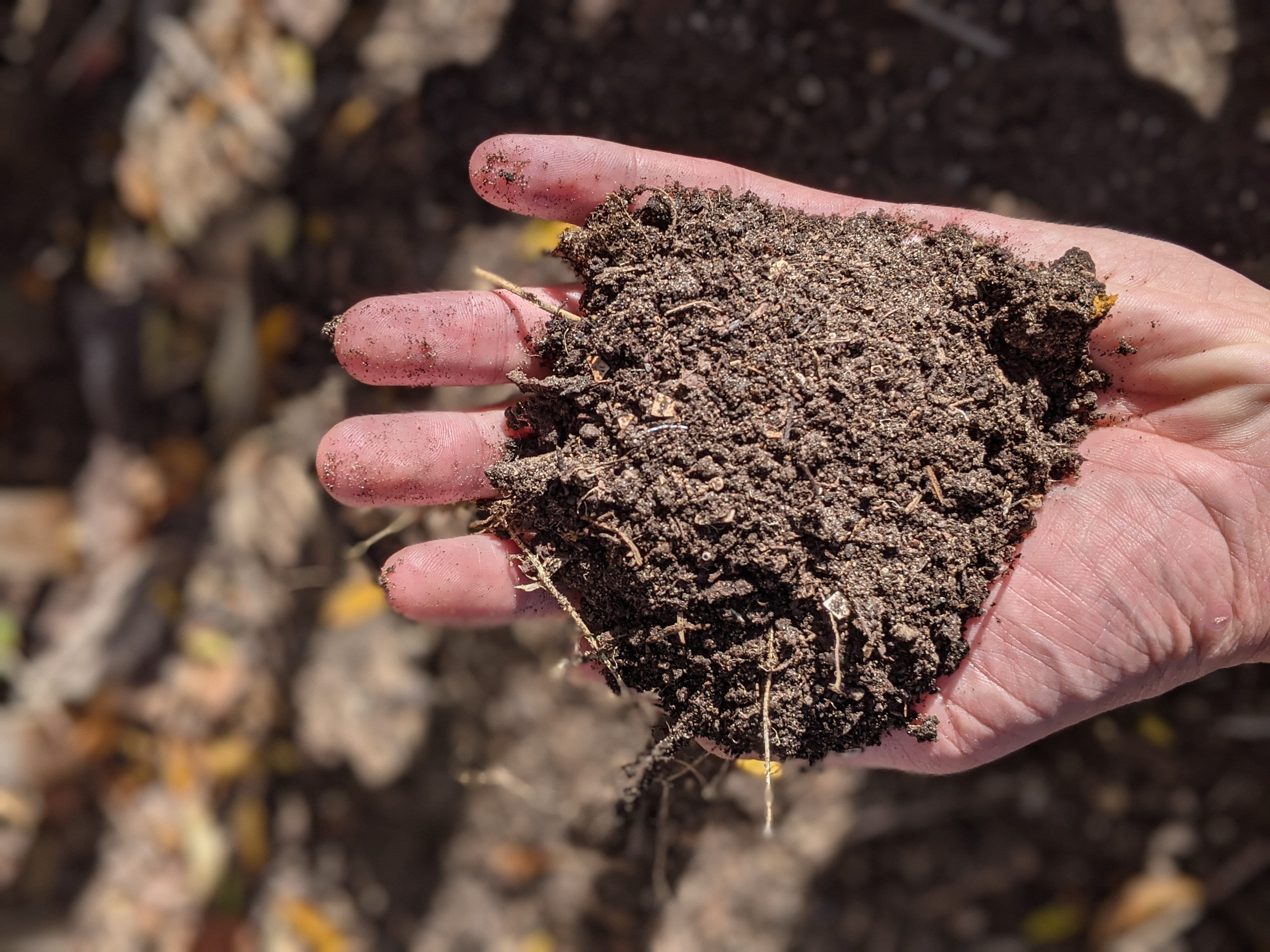 Compost after two years being held in a hand. Photo courtesy of EGLE staffer Kent Walters.