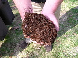A state of Michigan employee holding a handful of finished compost. 