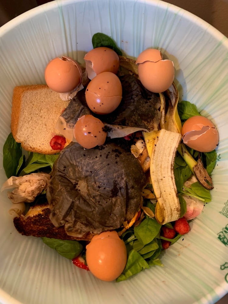 Assorted food scraps, including eggshells, coffee grounds, and banana peels, in a bucket for composting