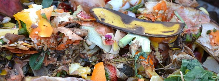 Food waste being composted