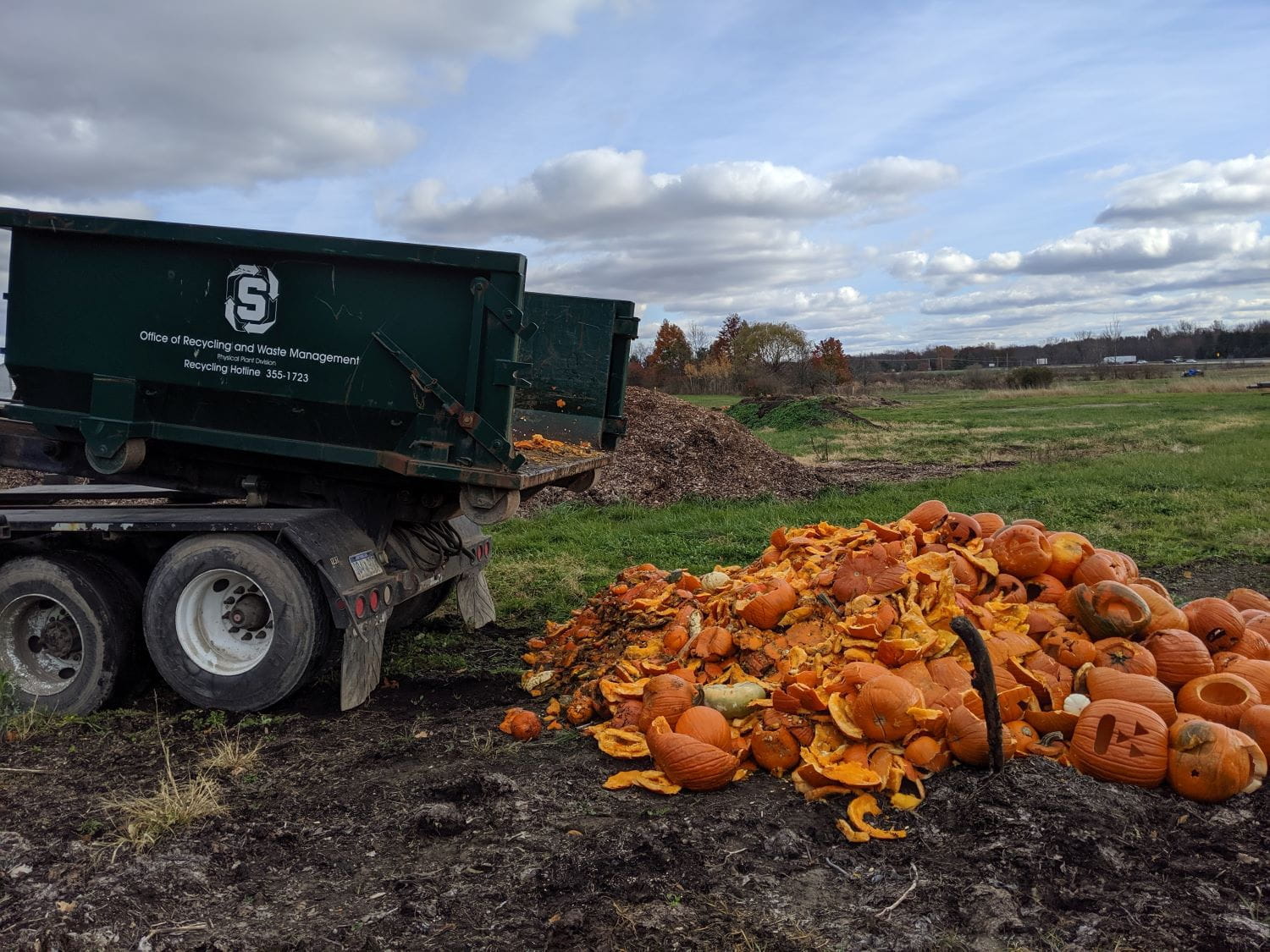 Pumpkin dump collected for composting at Michigan State University in 2019.