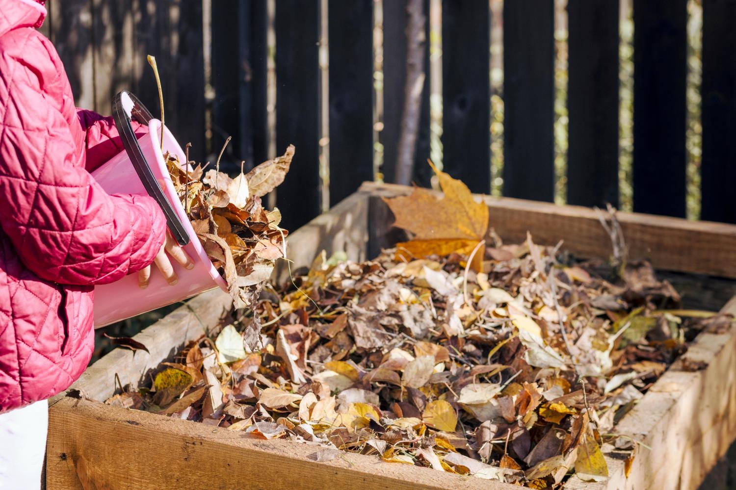 Child placing a bucket of leaves into a compost bin.
