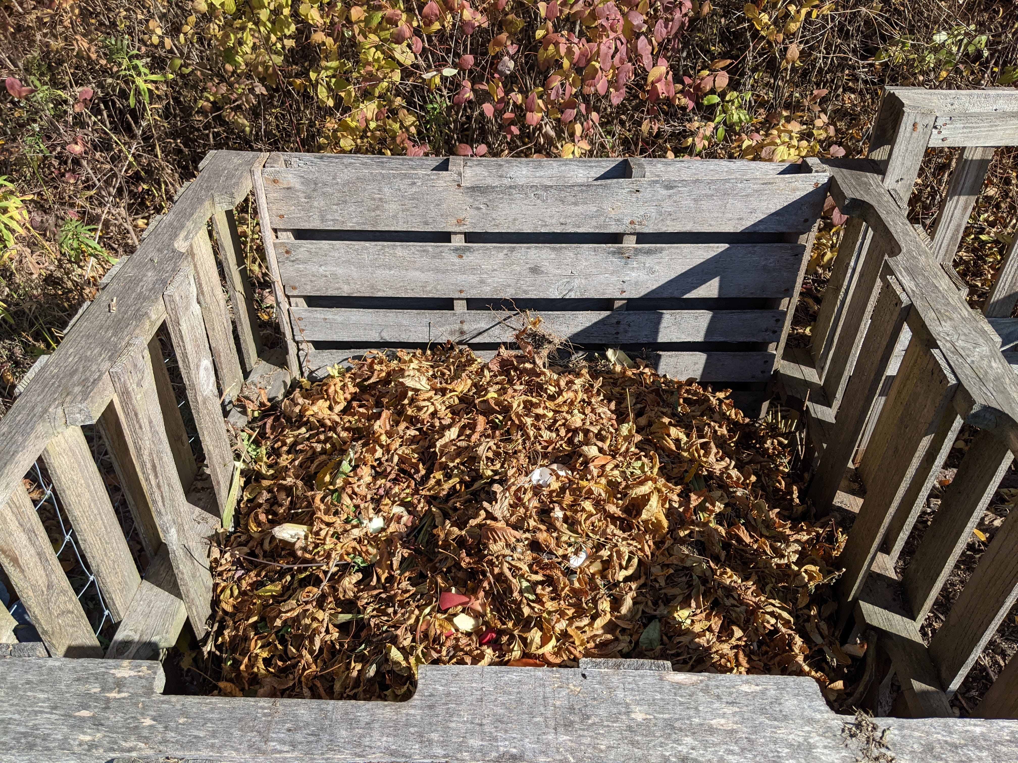 Leaves in compost bin. Photo courtesy of EGLE staffer Kent Walters.