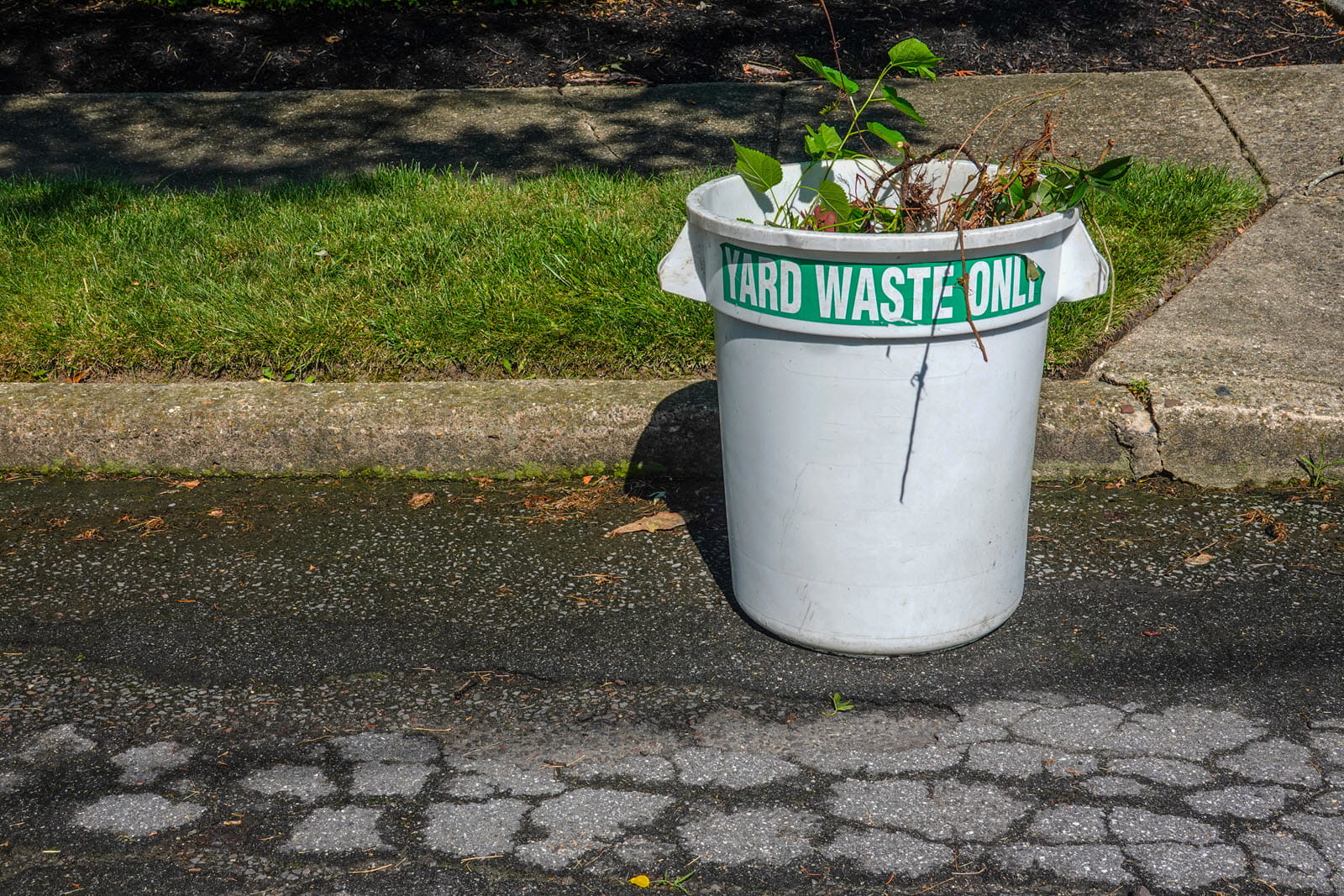 Leaf Litter in a Yard Waste Only Bucket