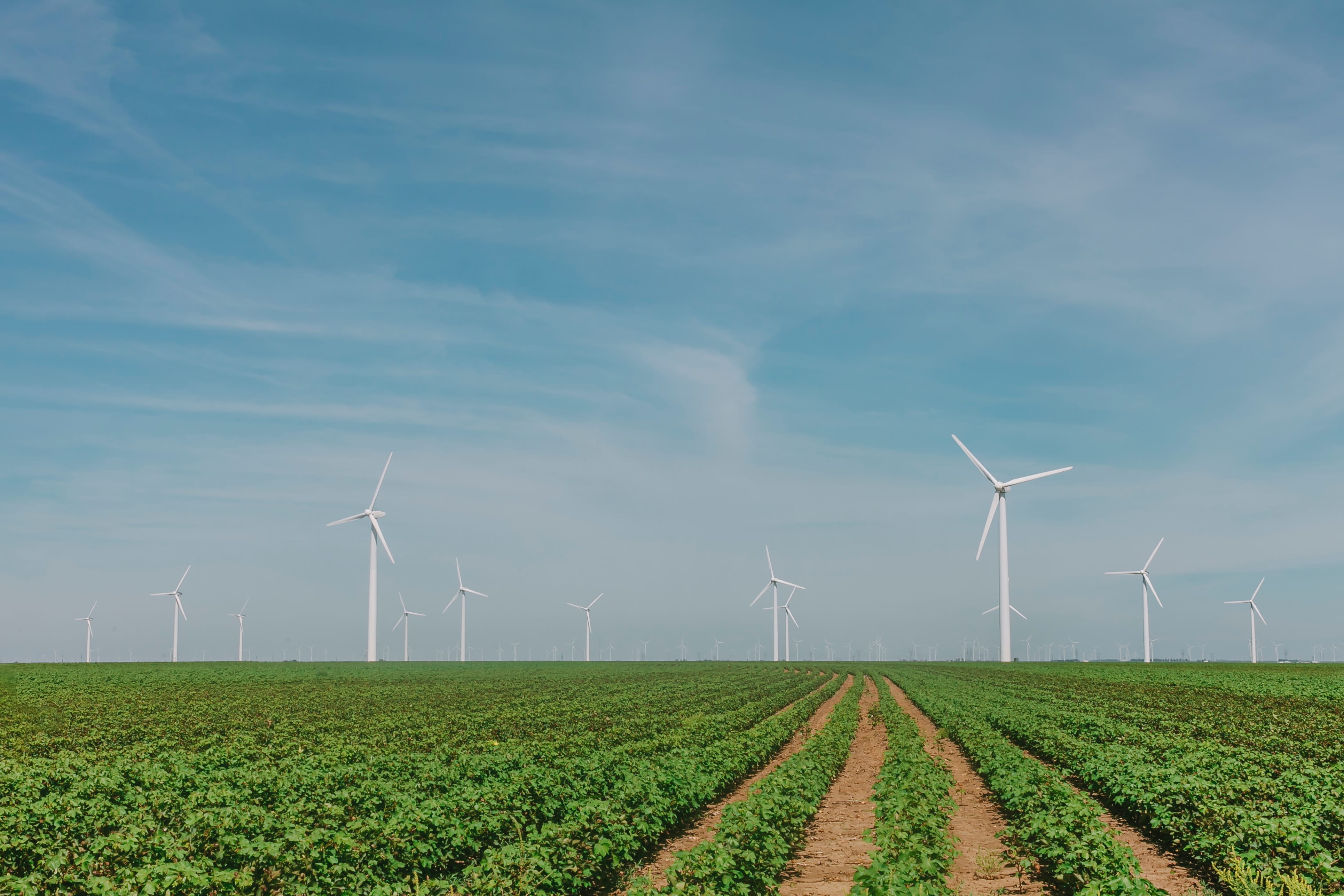 wind and farms