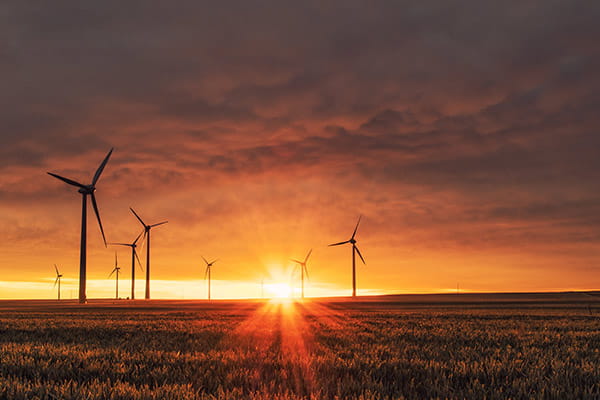 wind turbines among rolling green grass