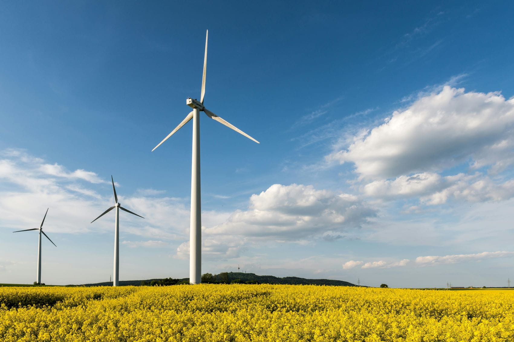 Wind Turbines in a field