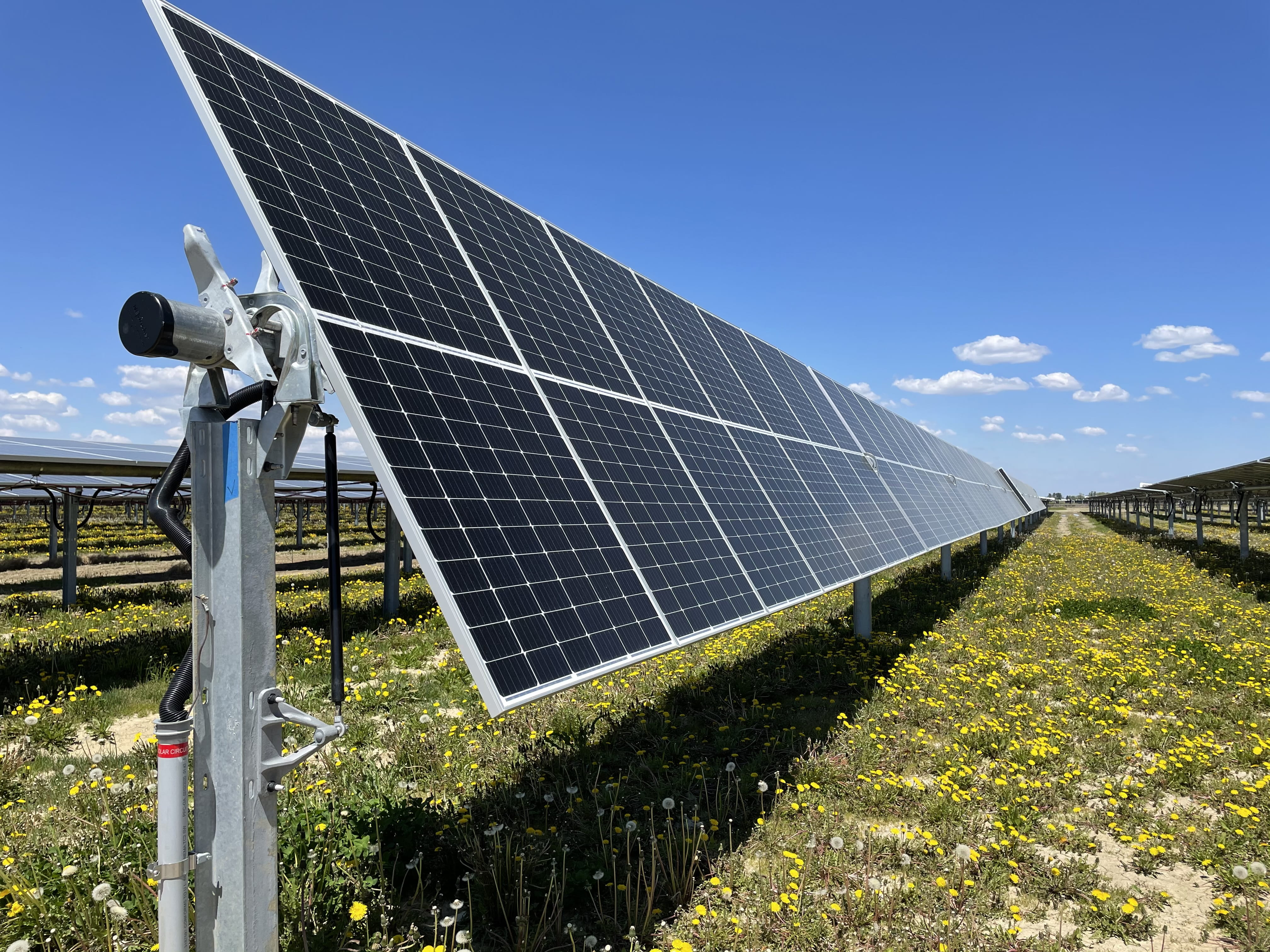 Solar array and pollinator habitat