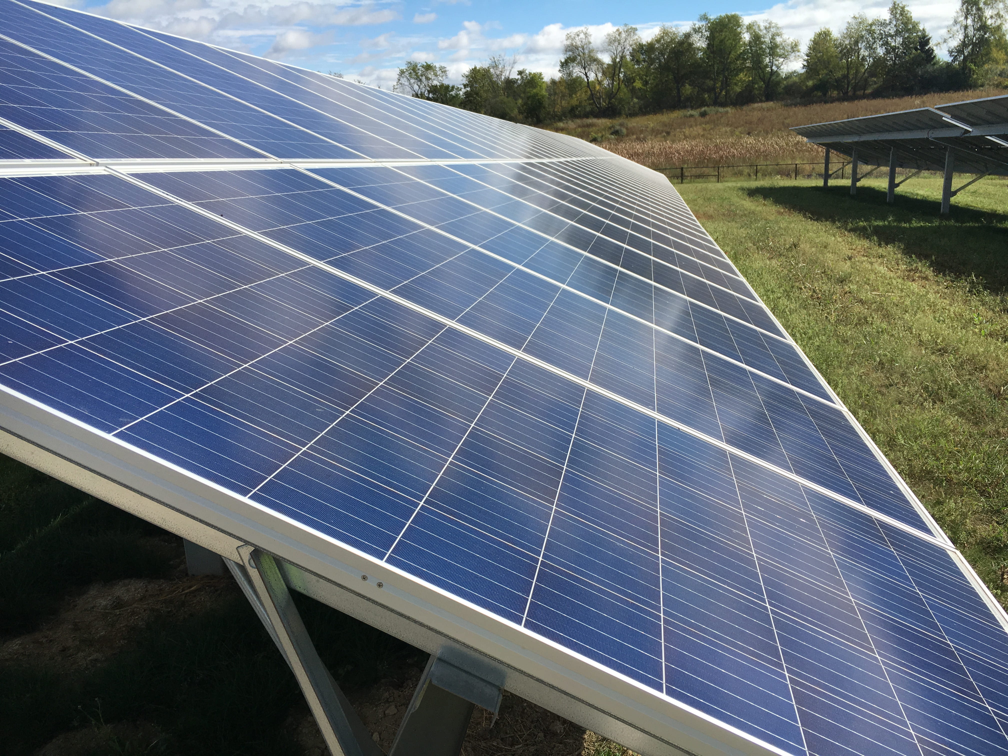 Solar panels at DTE Energy solar farm near Lapeer.