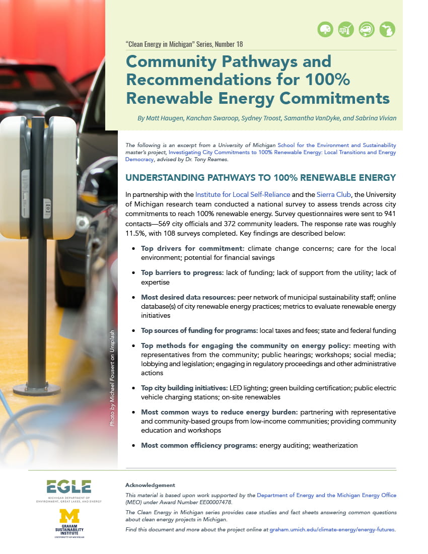 Factsheet on pathways to 100% renewable energy