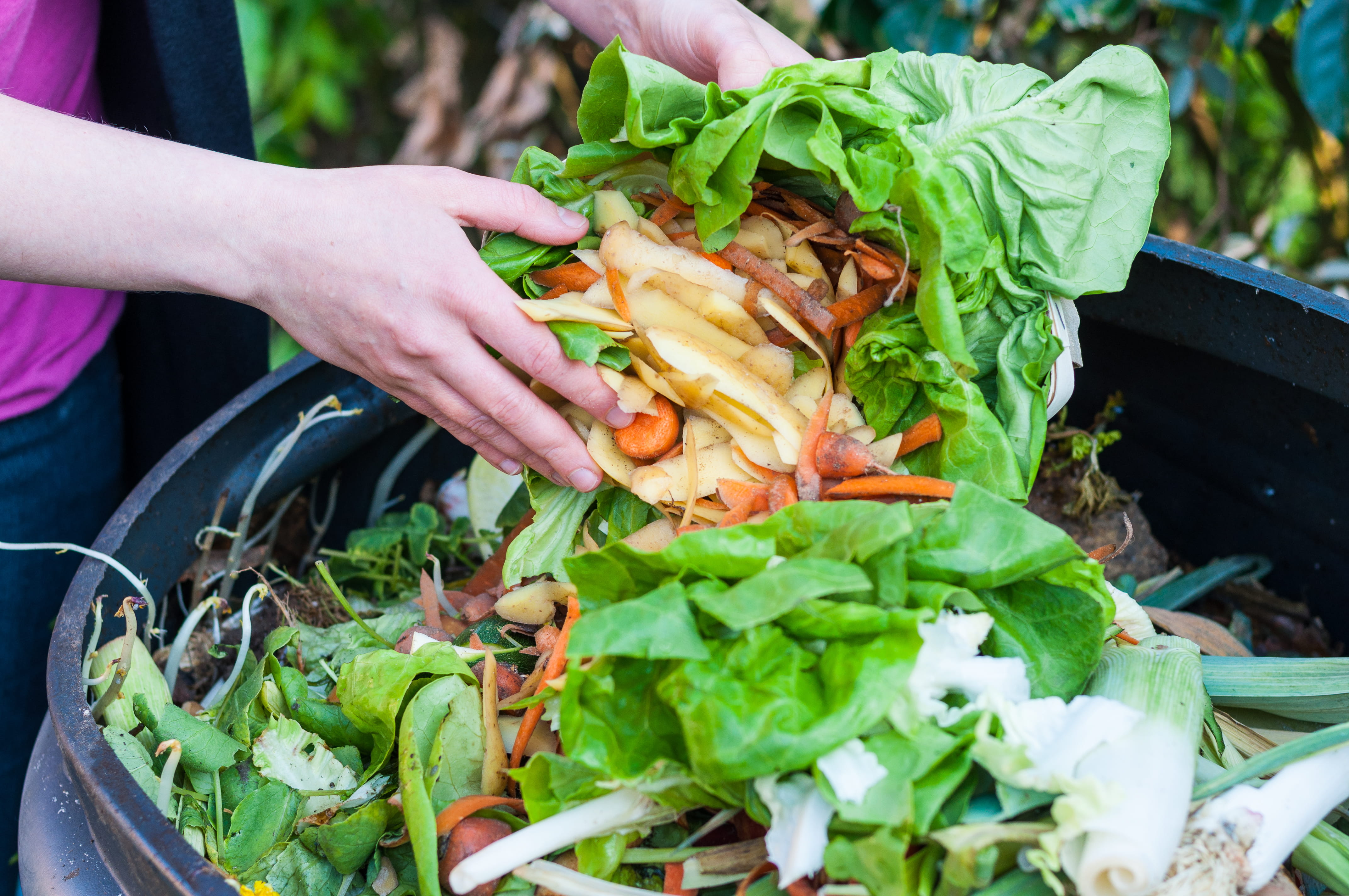 Food waste in container.