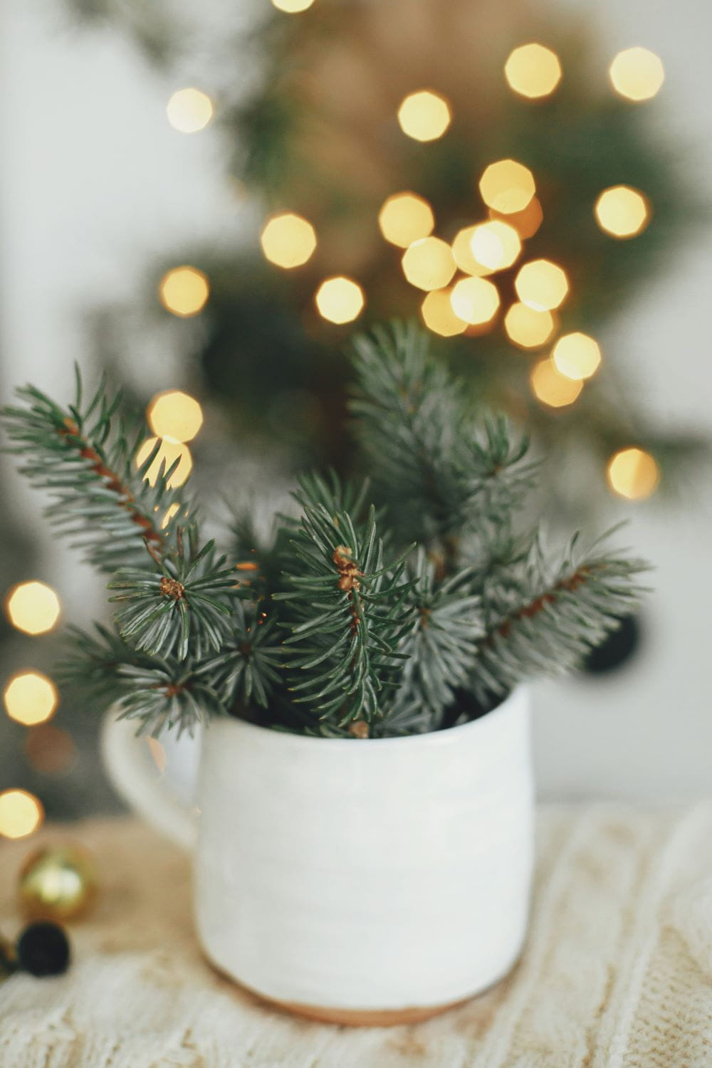 Multiple sprigs of evergreen in a short ceramic mug