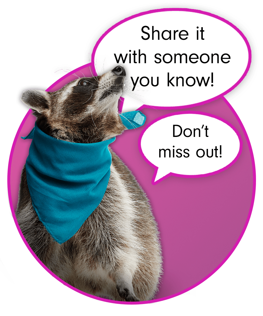 Frank the Recycling Raccoon says Share it with someone you know! Don't miss out! 