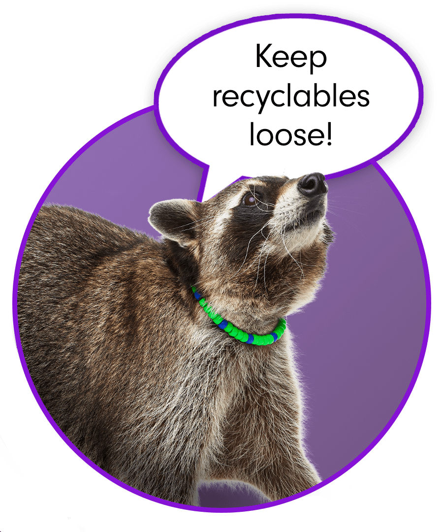 Nyla the Recycling Raccoon says Keep recyclables loose!