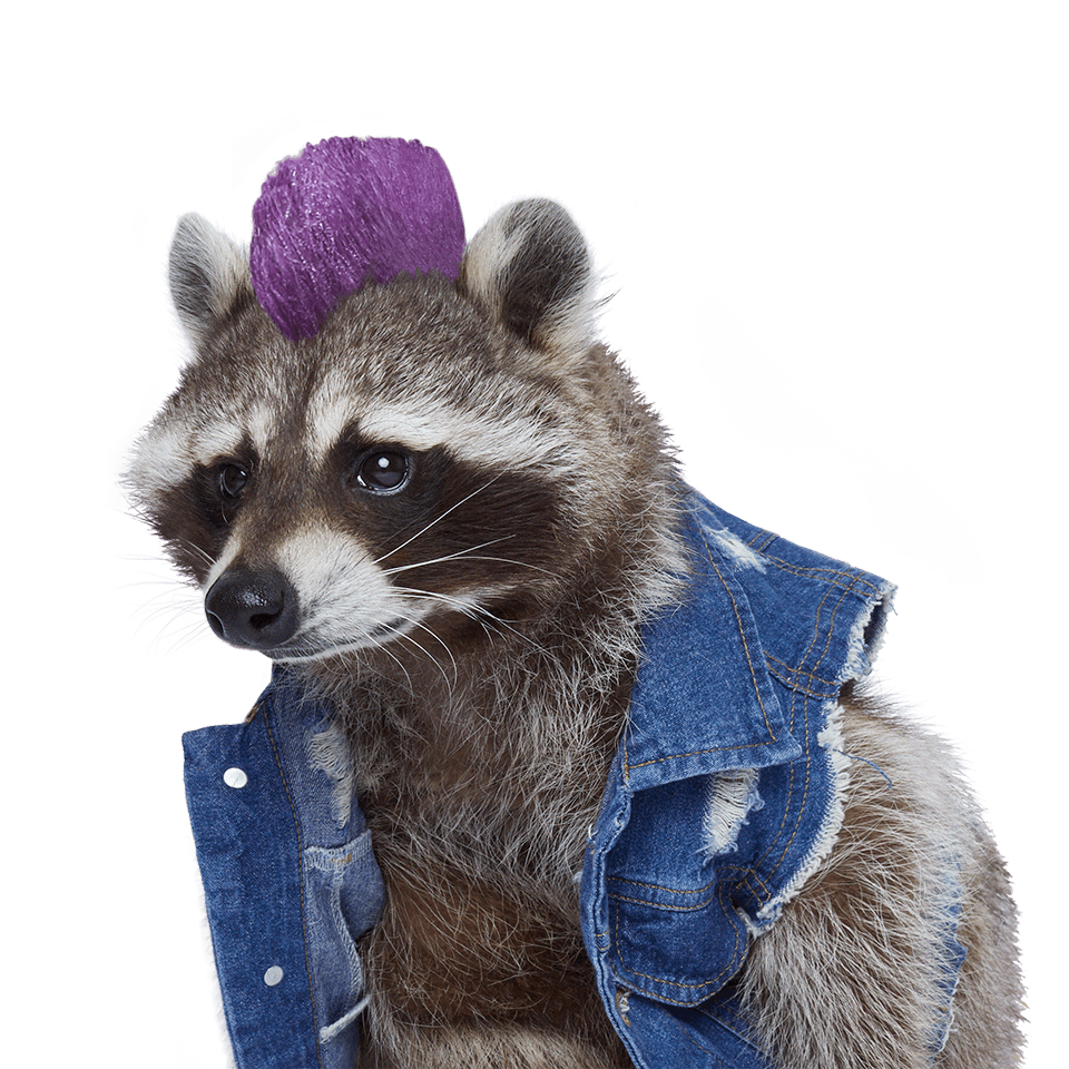 Recycling Raccoon Precious Metale