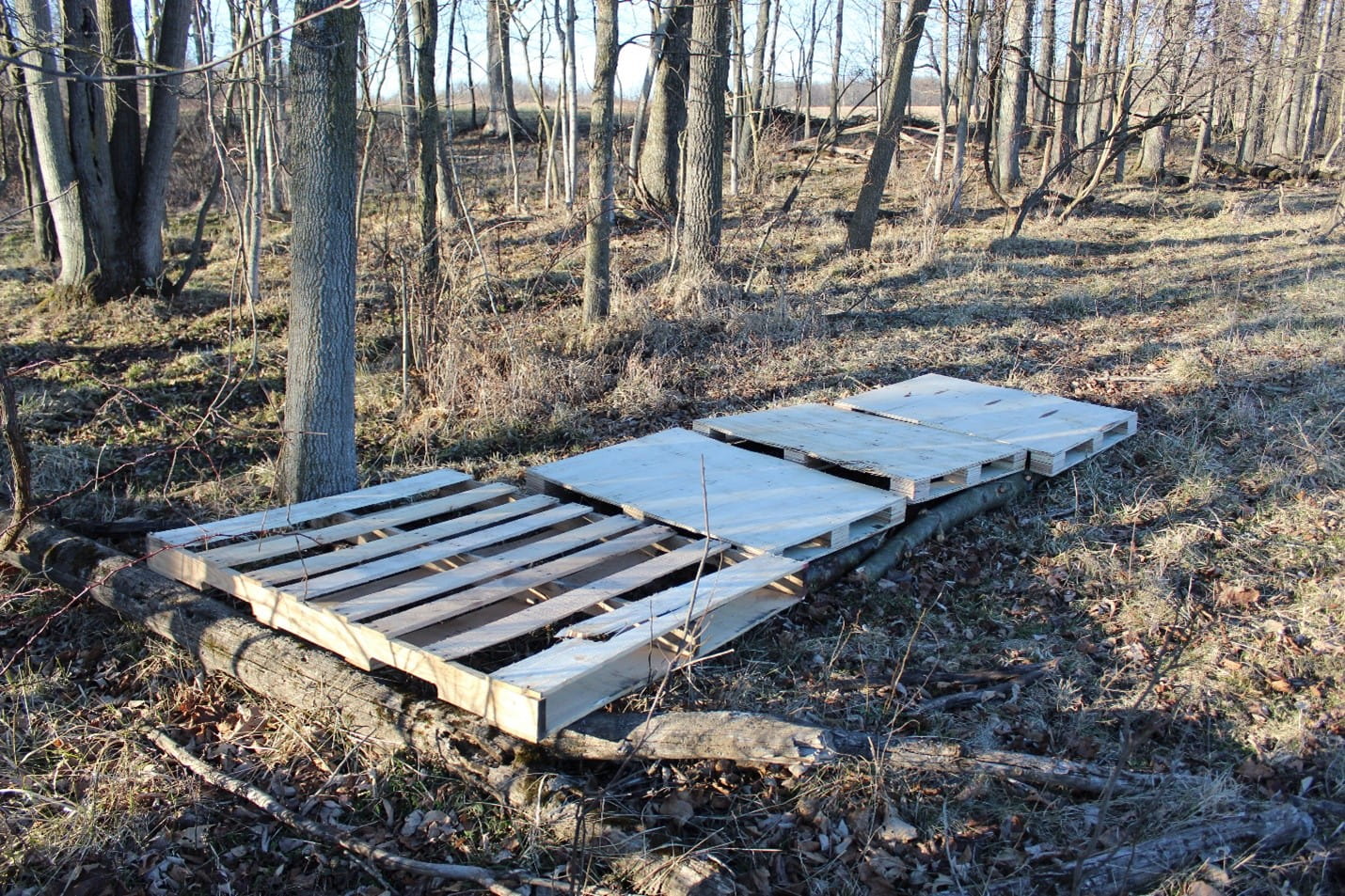 Pallets on ground