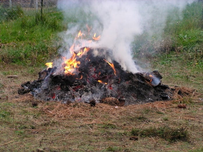 Yard waste burning in a field.