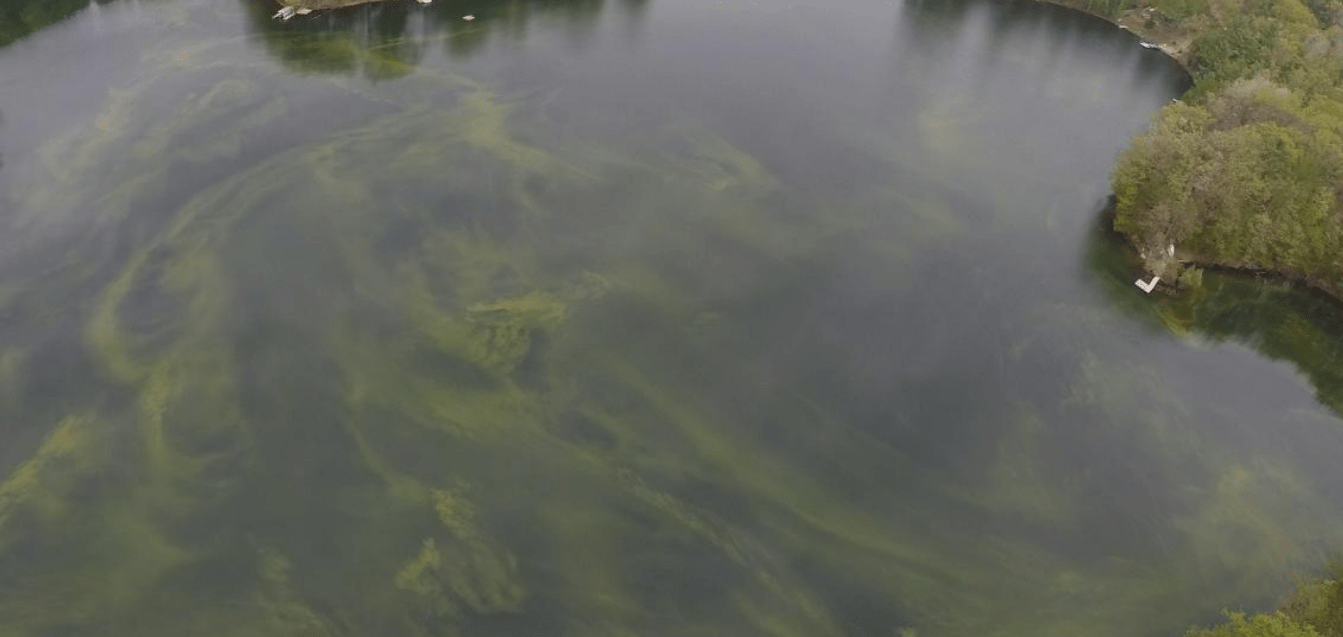 Harmful Algal Bloom Story Map