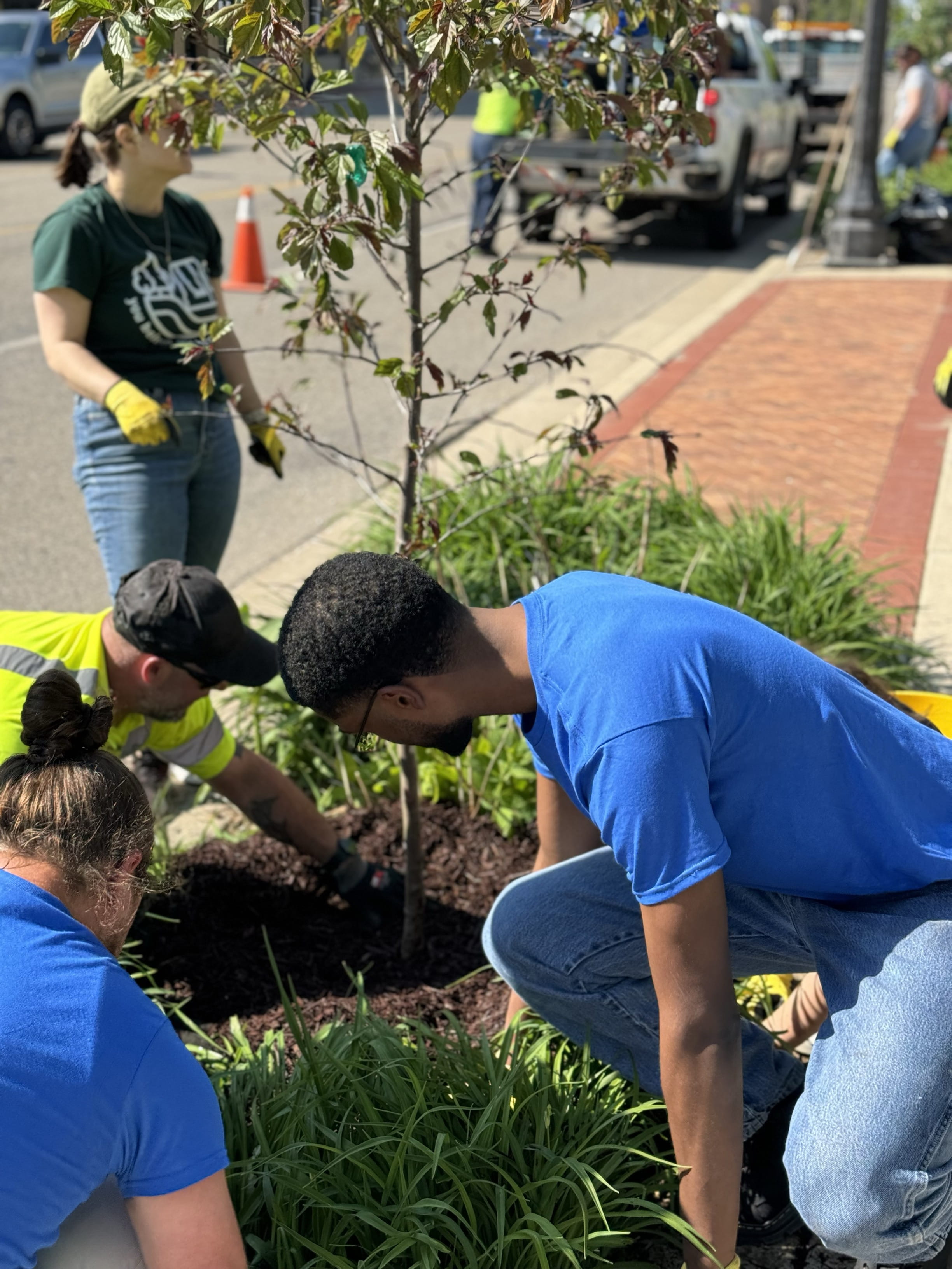 MI Healthy Climate Corps members plant a tree in Lansing. 