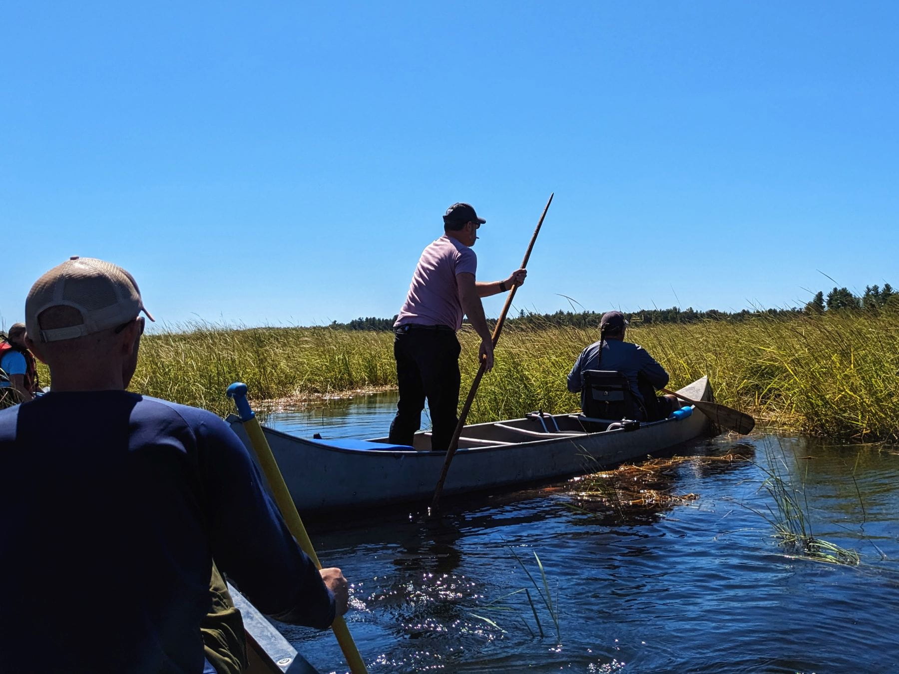 Man in canoe pushpoles on the water with manoomin.