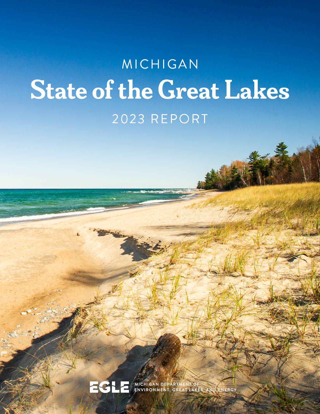 2023 State of the Great Lakes Report