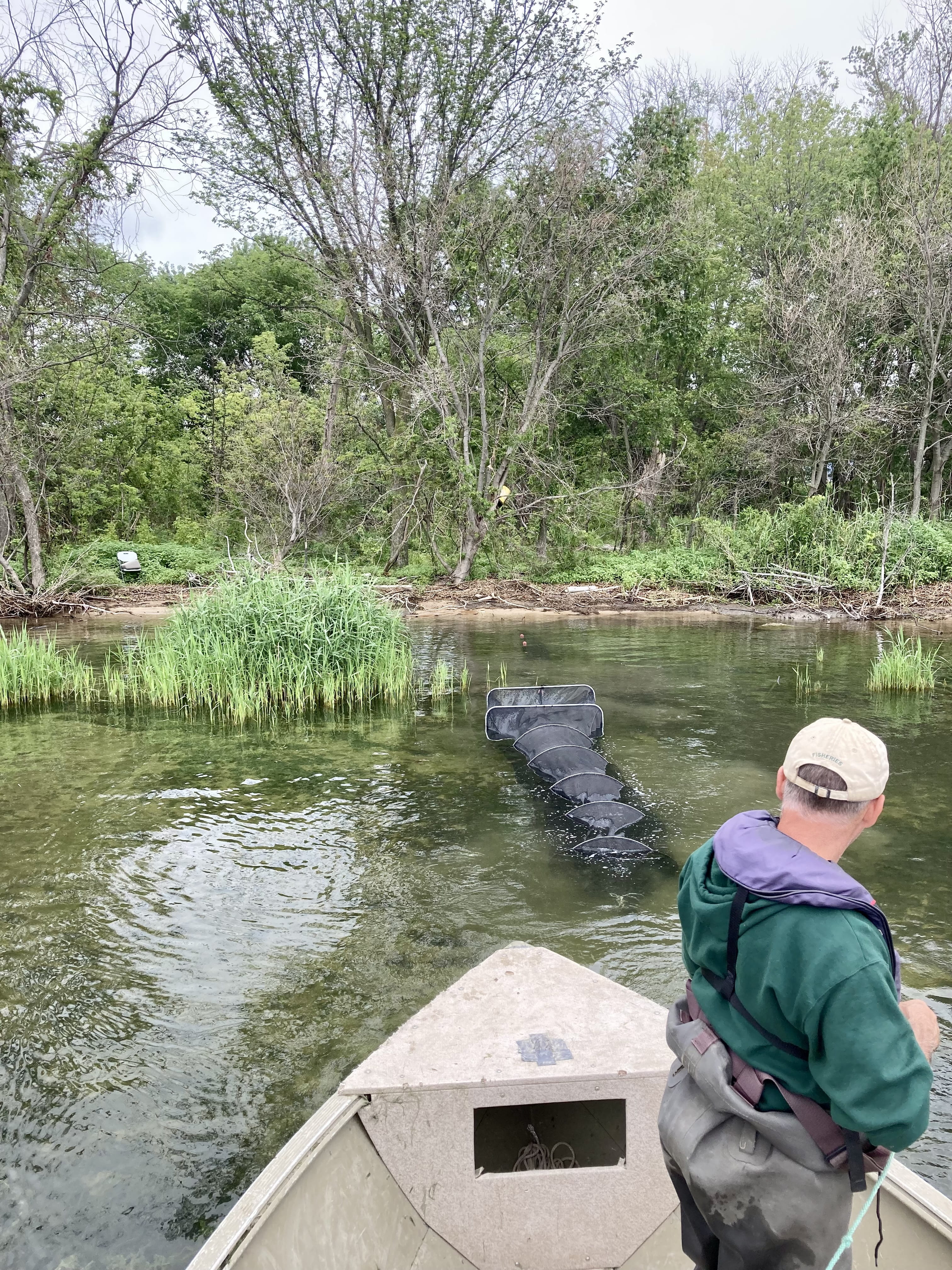 Fish net sampling takes place along the Lake S.t. Clair shoreline. Courtesy of the DNR.  