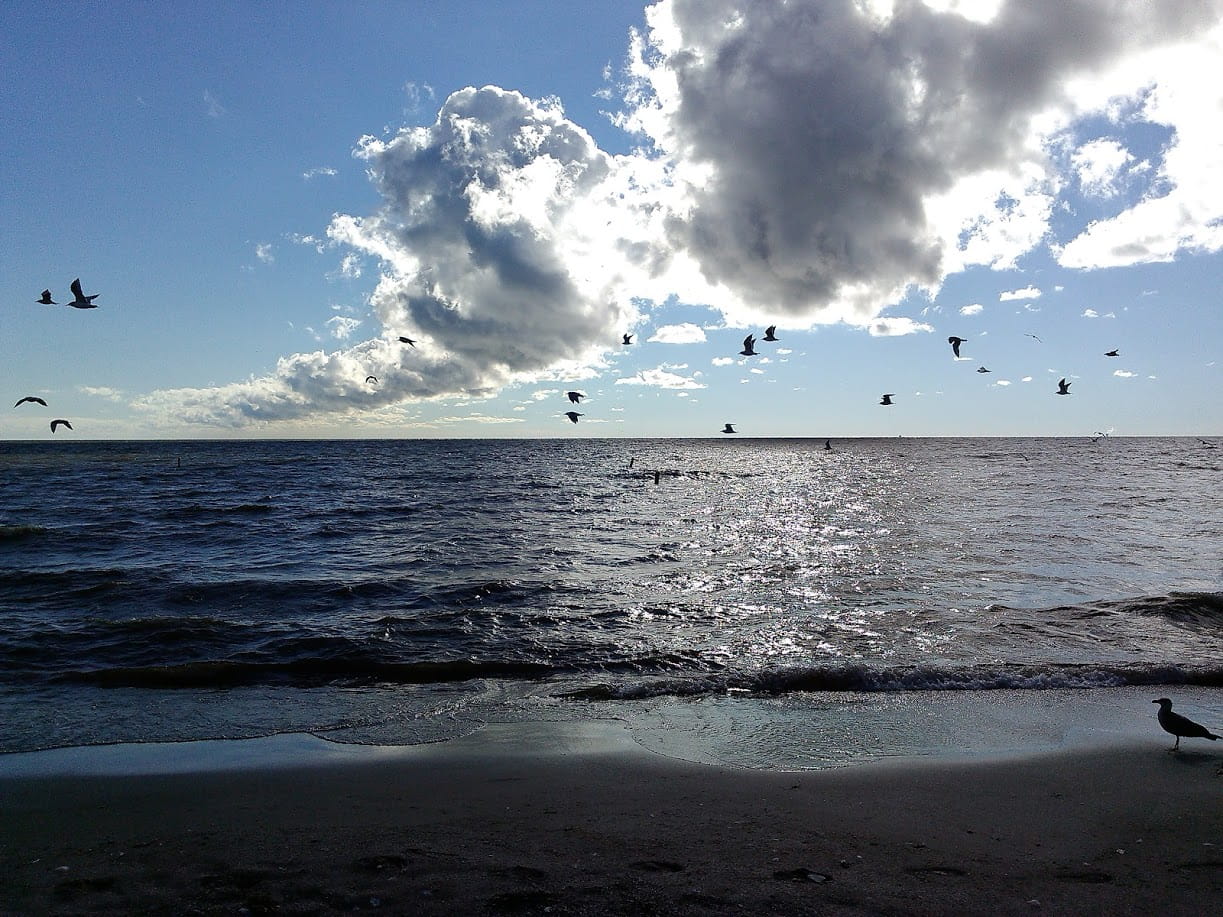 Waves roll in on Michigan’s Lake Erie shoreline.