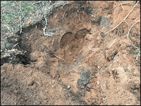 Removal of Buried Drums