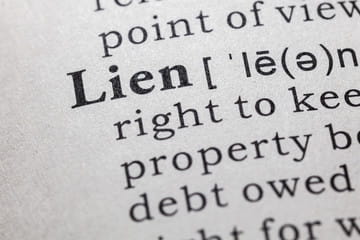 Lien-Picture
