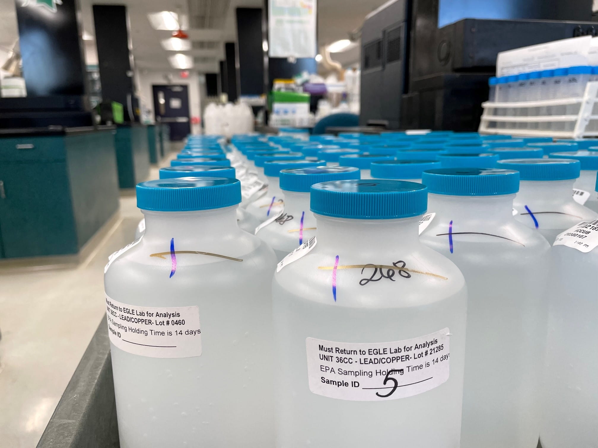 Picture of clear plastic bottles with blue tops