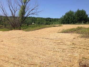 Work area following restoration in accordance with EPA capping standards for the Torch Lake Superfund site