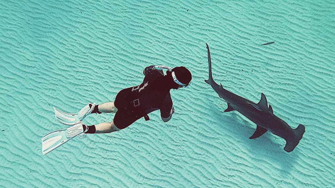 Kelsi Wygant, daughter of Adam Wygant, dives looking at shark. 