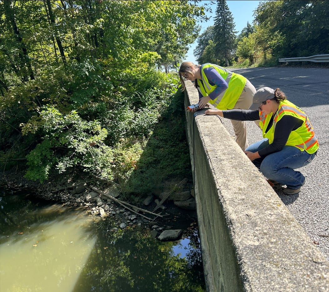 EGLE staff on bridge sampling River Raisin below