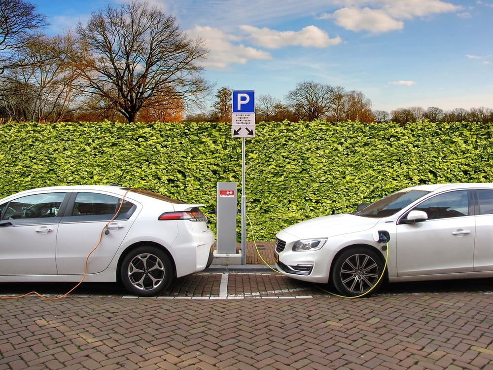Two white electric cars parked on a brick road, hooked up to a single charging station.