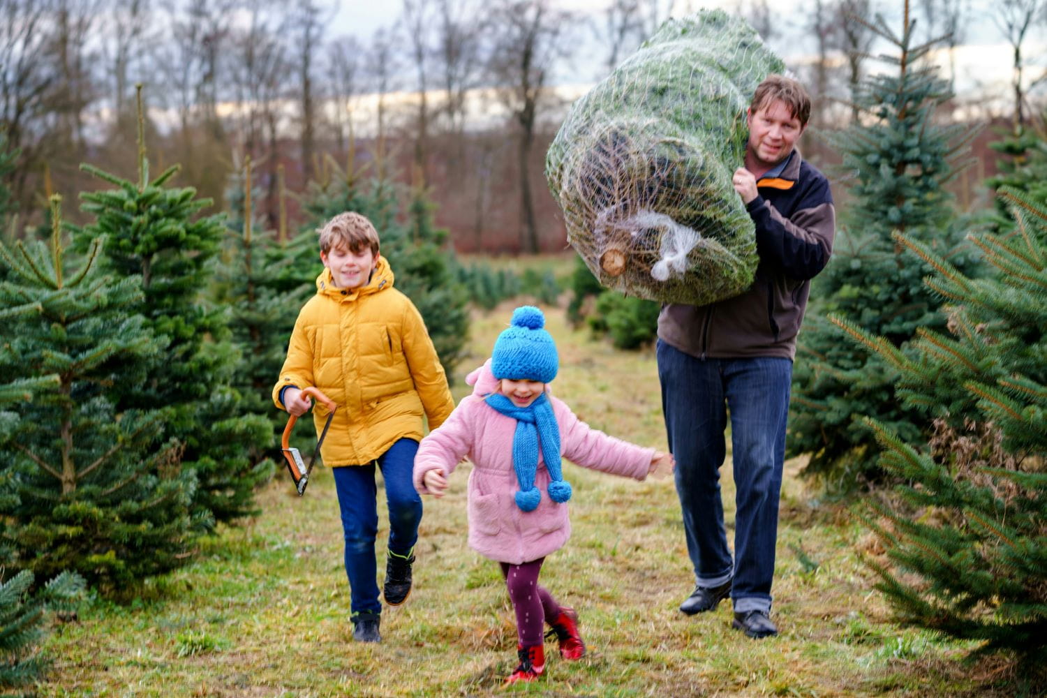 Two small children and an adult walk amongst a Christmas tree farm