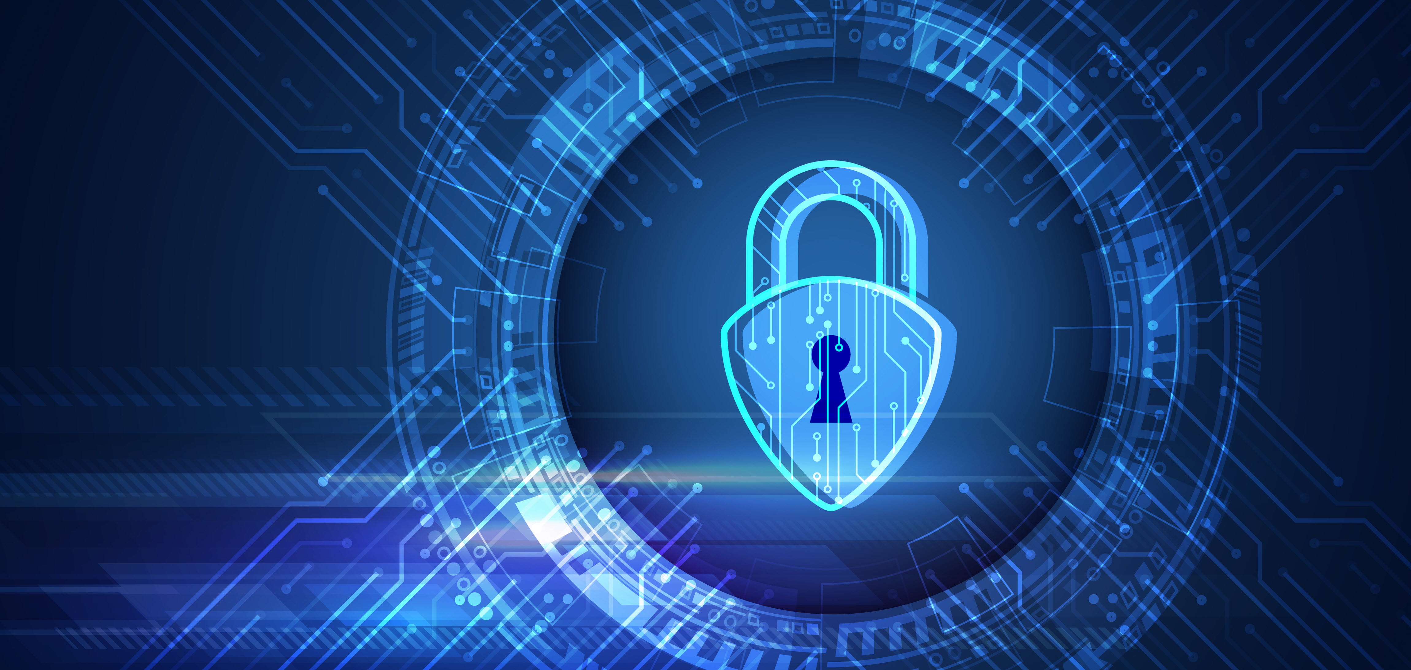 Vector illustration of a data security services.
