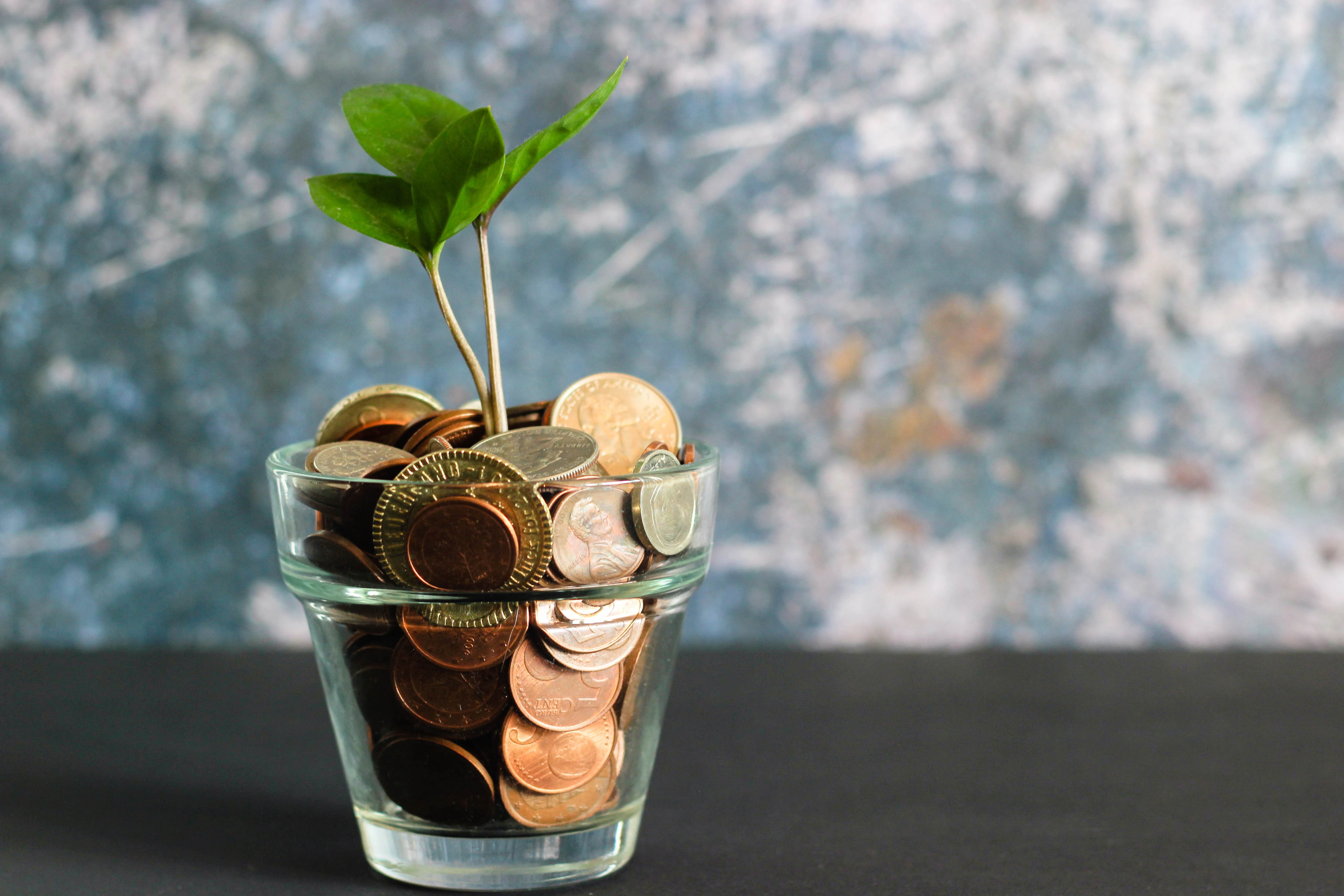 A glass jar filled with coins with a leafy green sprout emerging