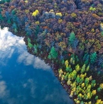 Aerial view of water next to trees.