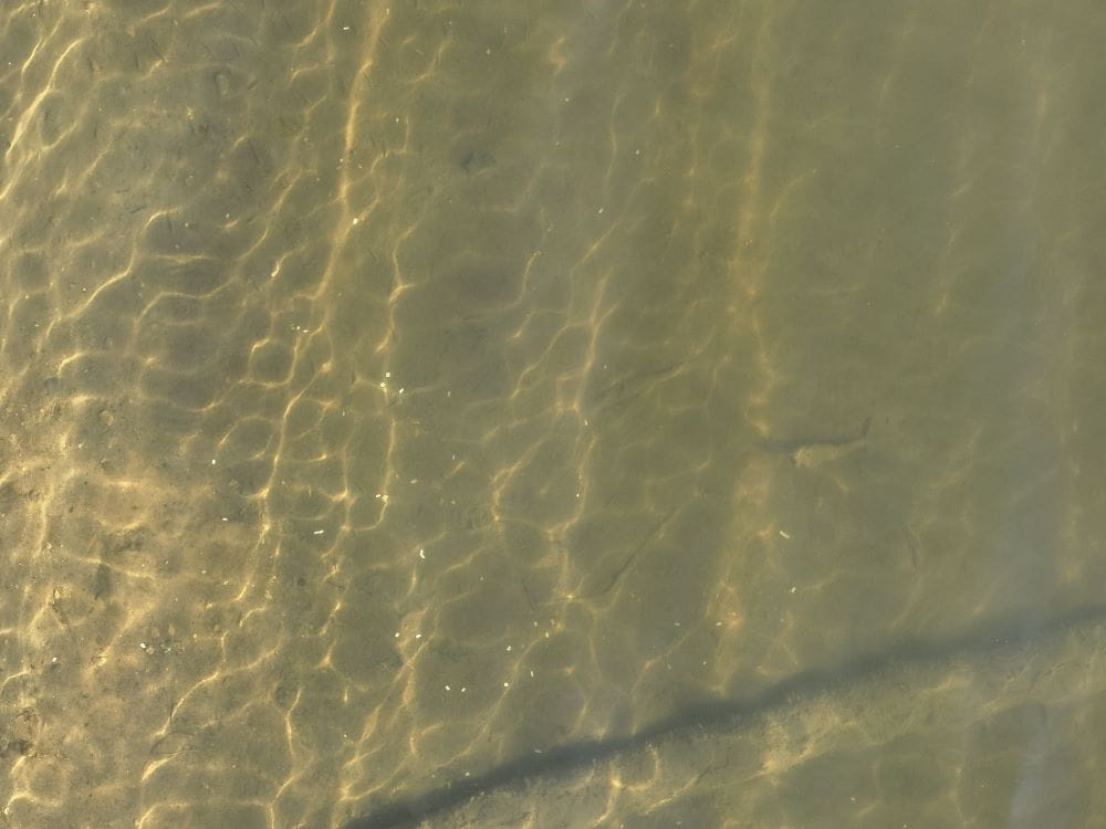 Drone shot showing nurdles in the water.