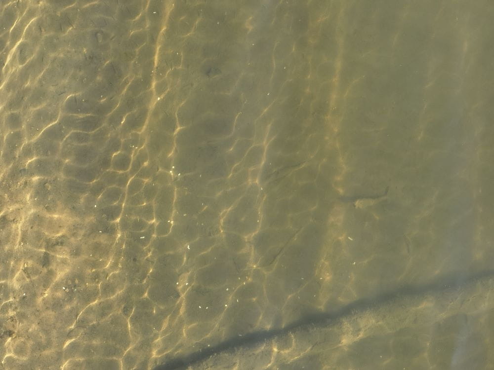 Drone shot showing nurdles in the water.