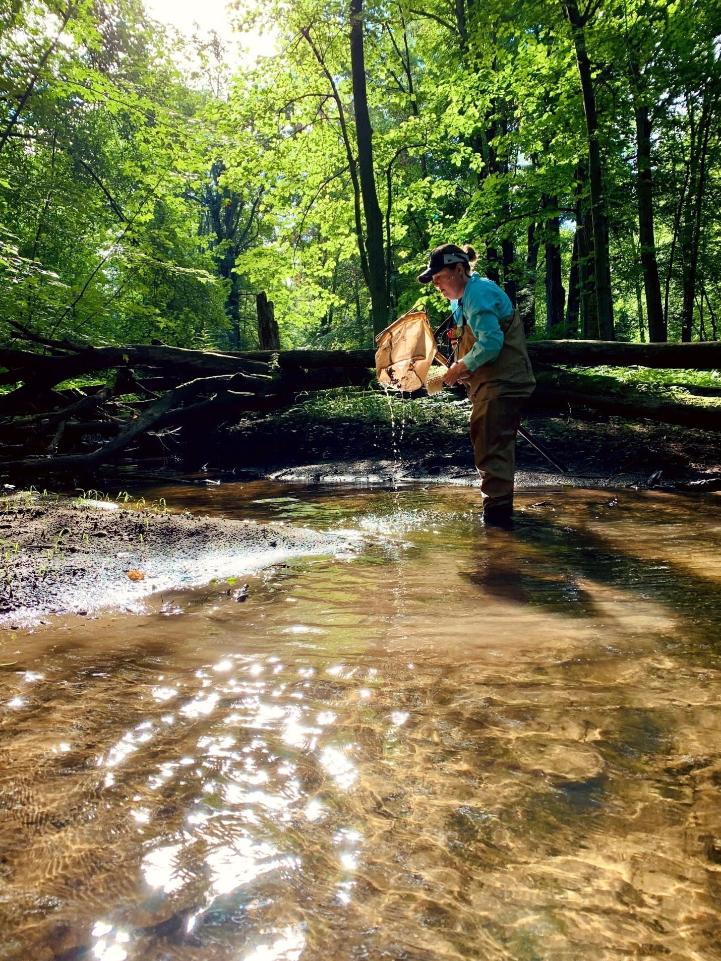 person performing a river clean up with a net and waders 