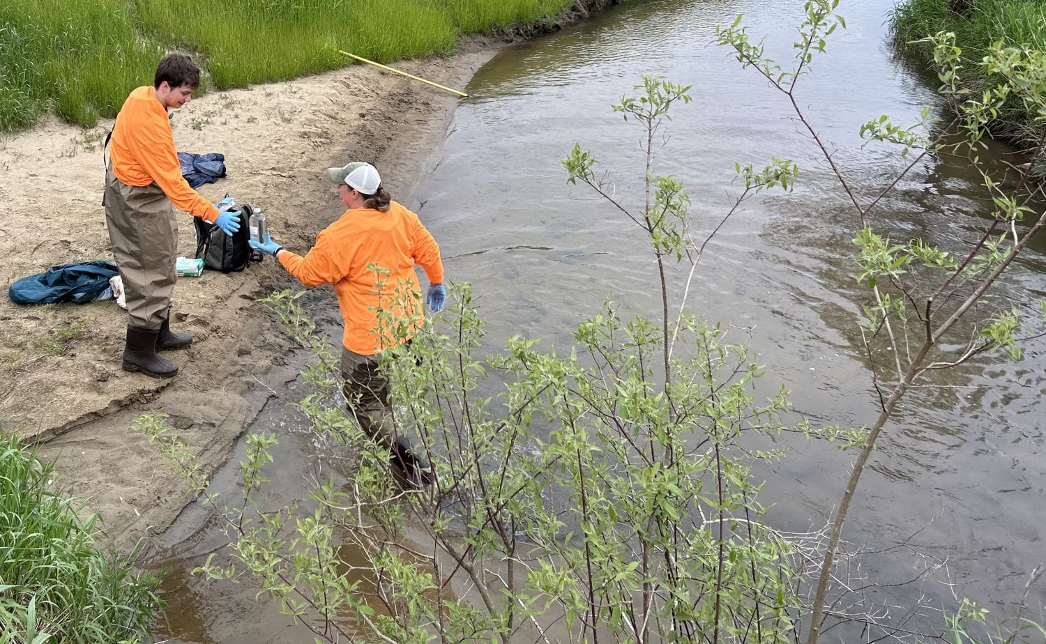 Two people standing on the edge of a creek collecting a water sample in a bottle