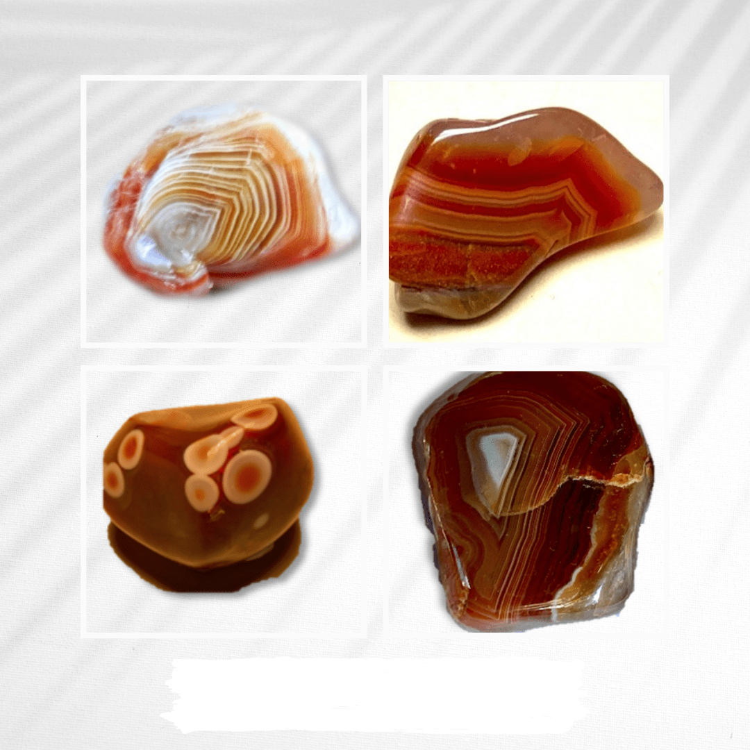 Four polished agates showing banding. Courtesy of Mary Ann St. Antoine.