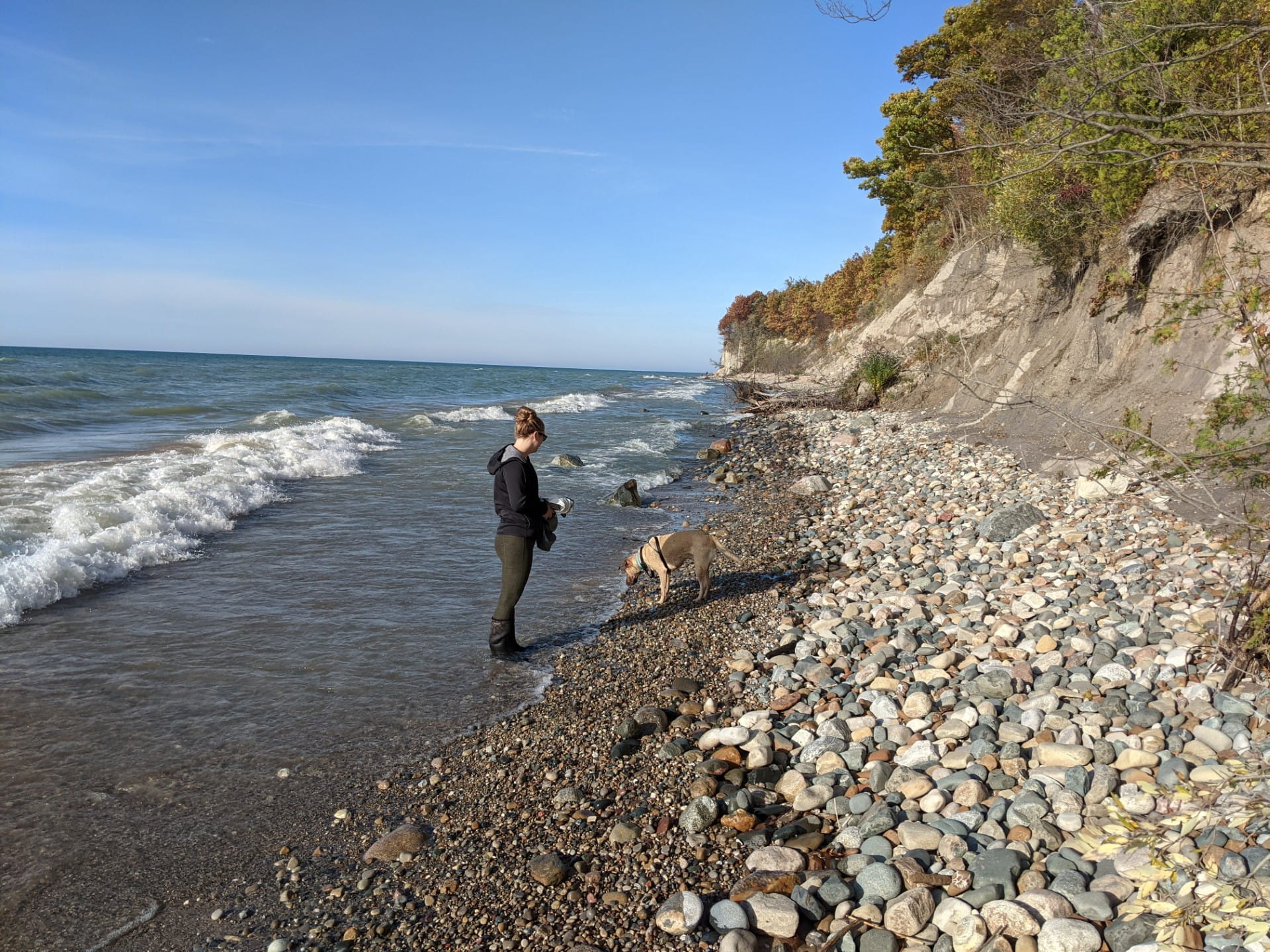 A glacial moraine being eroded by Lake Michigan.