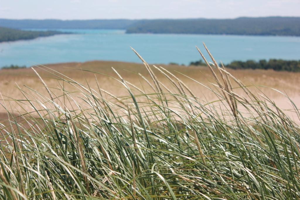 Grassy Dune with lake in background