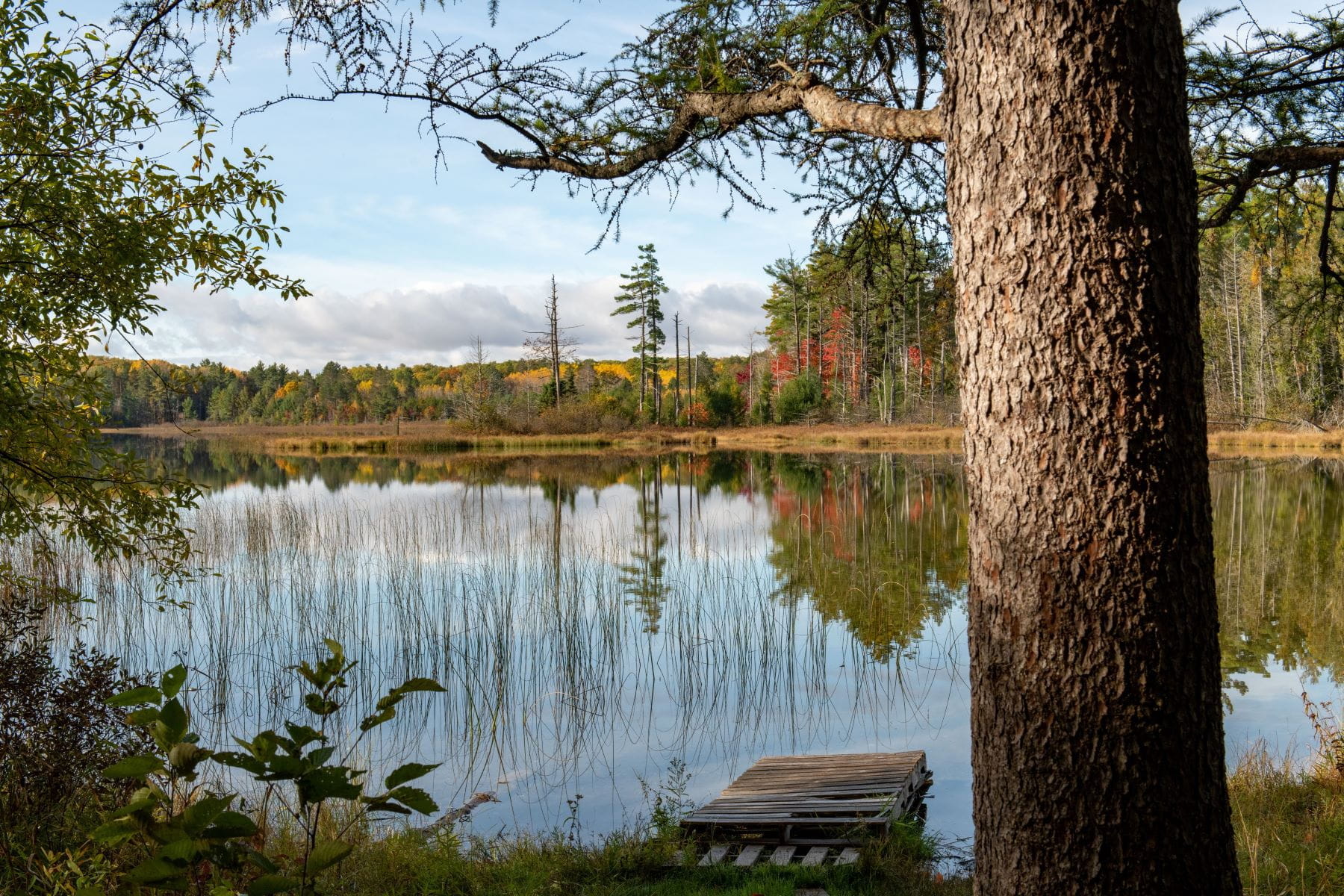 Lake surrounded by trees. Photo courtesy of DNR.