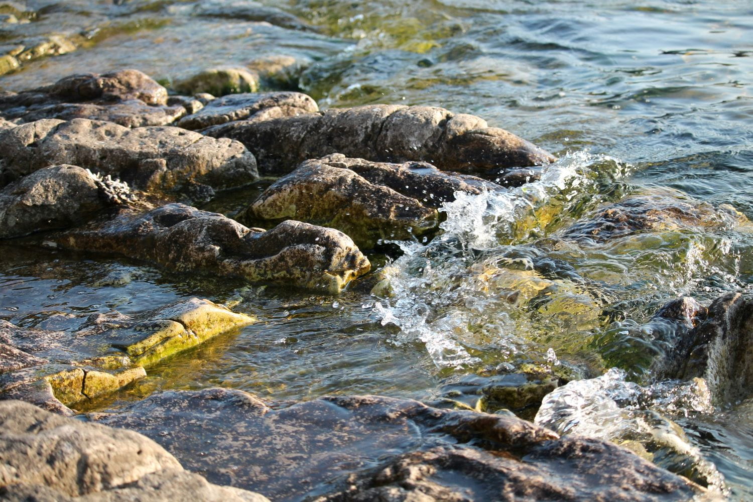 A close-up of a rocky stream