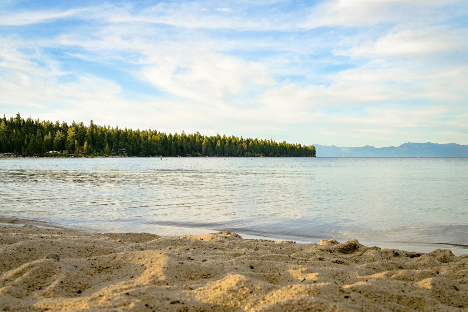 A closeup of a sandy beach at an inland lake; trees are in the distance