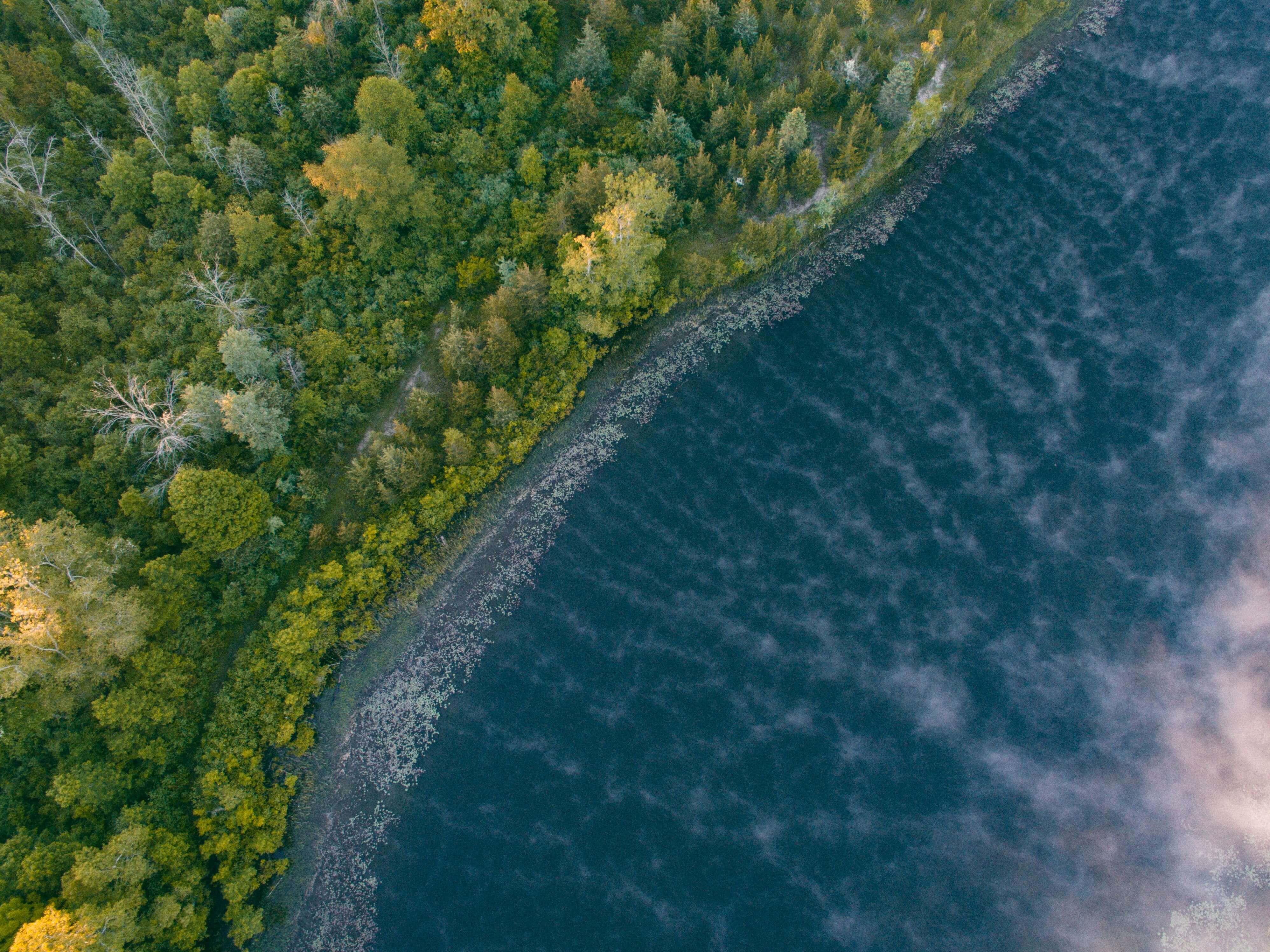 aerial drone photo of the forest along the shoreline of a lake in Michigan with clouds in the sky